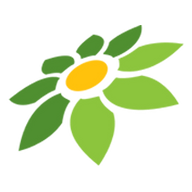 ML SKIN TOOLS